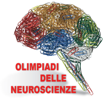 OlimpiadiDelleNeuroscienze | Olimpiadi delle Neuroscienze